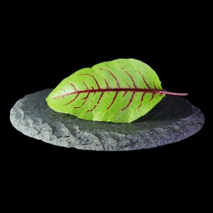 BenniAcetosa