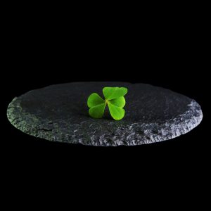 BenniOxalis